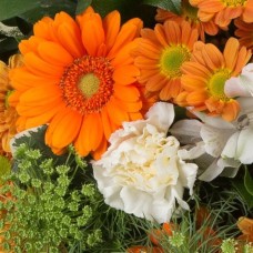 Florist's Choice Posy Arrangement (Standard)